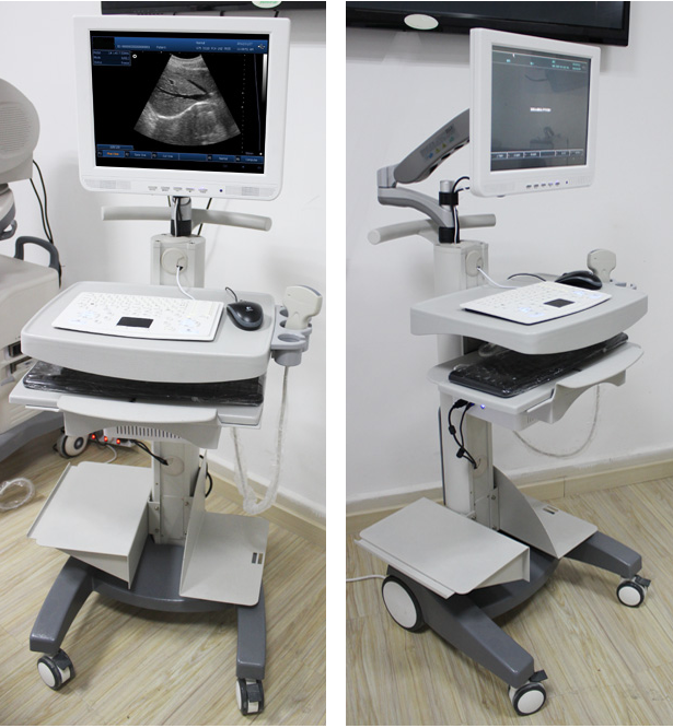 UT-B10 Touch Screen Trolley Ultrasound Diagnosis B Scanner(ultrasound ultrasonic black white scanner)